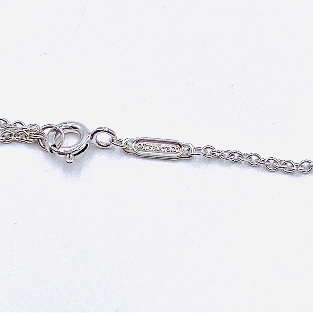 Tiffany & Co. Oval RTT Splash Tag & Necklace - Picture 7 of 9